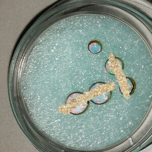 3mm white opal, rg titanium threadless